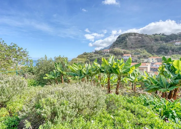 Quinta Da Porto Da Cruz