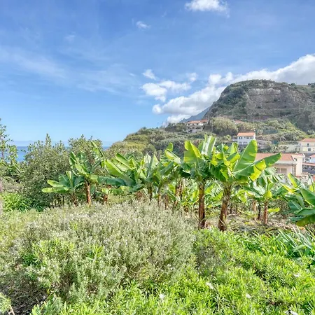 Quinta Da Porto Da Cruz